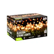 Lytworx 200 Warm White Solar Blossom String Lights