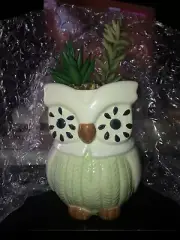 Owl Ceramic Vase W/Faux Succulent In Pebbles. 5 In High Not Including Plant