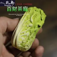 在飛比找蝦皮購物優惠-紫砂 白菜茶寵 茶桌擺件 精品 可養 茶具配件 茶藝 茶玩 