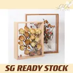 WOODEN FRAME DOUBLE-SIDED TRANSPAREN ART DISPLAY BOX FOR