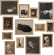 Fardes Moody Aesthetic Dark Academia Wall Art, 13pcs Gothic Pictures for Aesthetic Room Decor, Grunge Wall Decor