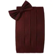 Men's Silk Weave Bow Tie and Cummerbund Set in Assorted Colors