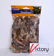 NEW Creativity Street Natural Feathers 0.5 oz Pack | PAC4514 | Craft Feathers