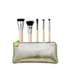 THE TOOL LAB 501 Mini Brush Set 101S Multi Tasker S Foundation Brush Mini Powder