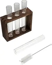 ifundom 1Pc Hydroponic Test Tube Vase with Stand Stylish Desktop Planter for Air Plants Durable Transparent Flower Pot for Home Decor and Plant Propagation