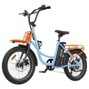 [EU Direct] Hidoes HD-C6 Electric Bike 36V 13AH Battery 250W Motor 20inches Tires 25-35KM Max Mileage 120KG Max Load Ele