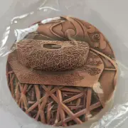 1pc 80mm Beijing Bird's Nest Commemorative Medallion with Box Certificate