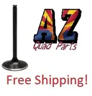 Yamaha Raptor Warrior Wolverine Grizzly Bruin 350 Kibblewhite +1 Intake Valve