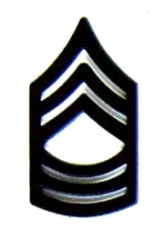 MILITARY HAT LAPEL PIN - ARMY SUBDUED MASTER SGT MASTER SERGEANT RANK PIN - NEW
