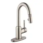 2600-Series Single Handle Pull-Down Sprayer Laundry Faucet in Stainless Steel