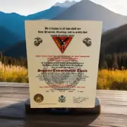U.S.M.C. / MARINE AIR CONTROL GROUP 48 - SUPERIOR COMMENDATION AWARD