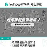 【HAHOW 好學校】如何練習動漫速寫 2 - 人體骨架與肌肉結構