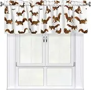 DEXNEL Cute Squirrel Home Curtain Valance Window Treatment For Living Room, 54 X 18 Inch