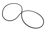 Genuine GM Sunroof Window Seal 15893292