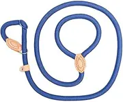 Dog Leashes for Car Ramp Blue 07