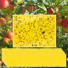 20 Pack Sticky Trap, Both-Sided Yellow Sticky Traps, Fruit Fly Trap, Gnat Traps,