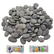 CYLHCM 100PCS Tiny Painting Rocks,DIY Pebble for Painting Detail-Painting