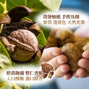 【西域果園】新疆紙皮核桃500g(新疆185紙皮核桃 可手撥殼 24入一箱)