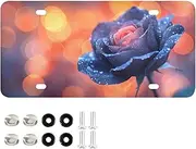 AIXIWAWA License Plate Art Rose Print for Automobile Front Rear 12x6 in Standard Aluminum Alloy Metal Car Tags Decorative Plates