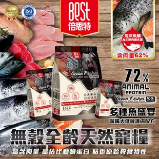 BEST倍思特 無穀全齡天然犬糧 多種魚盛宴 16磅/7.2kg 饕嘴全齡犬 低敏護膚配方 高含肉量 狗飼料