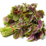 Amaranth - Red Leaf seeds