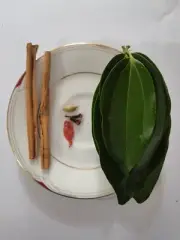 Money Attraction Natural Cinnamon, Nutmeg & Prosperity Plants Pack