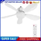 2 In 1 Hanging Five Leaf Fan with LED Light Remote Control Ceiling Fan (40W)