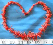 ~ Coral Sprigs/Branches ~ Natural Red/Orange ~ 18" ~ Sailors Valentines Artwork~