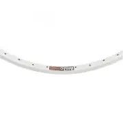 Rhyno Lite Sun Ringle 29in Rhyno Lite Silver 40