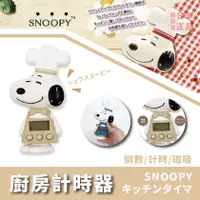 在飛比找蝦皮購物優惠-現貨&發票🌷 日本 PEANUTS 史努比 SNOOPY 廚