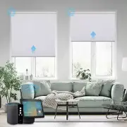 Motorized Roller Shades, 100% Blackout Auto Smart Window Blinds with Zigbee Moto