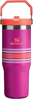 Stanley IceFlow Flip Straw Tumbler with Handle 30 oz | Twist On Lid and Flip Up Straw | Leak Resistant Water Bottle | Insulated Stainless Steel | BPA-Free | Fushcia Mesh