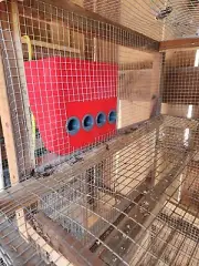 No waste - No mess Large Quail feeder. 3D printed. Made in USA