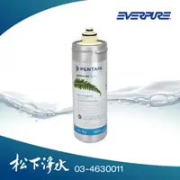 在飛比找蝦皮商城優惠-Everpure 家用除鉛/水垢型濾芯 H54/H-54【濱