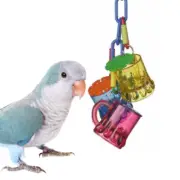 Super Bird Creations pk2026 Cheers Sr. Bird Foraging Toy Parrot Feeder Bird Toys