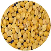 Split Black Chickpeas without Skin (Channa Dal) - 1Kg