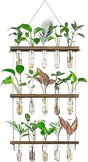 Monsiter QE 3 Tier Large Propagation Stations Wall Hanging Plant Terrarium with Wooden Stand, Retro Propagation Test Tube for Hydroponic Plants Cutting Flower, Propagator Home Office Patio Decor Gifts
