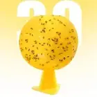 1xSticky Fruit Fly Traps Ball Fungus Gnat Killer Trap For Indoor-Outdoor G7R7