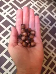 Wood beads vintage macrame wooden Dark Hickory 1970s 100pc