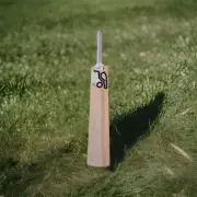 Kookaburra Ghost Pro 4.0 Junior English Willow Cricket Bat. SA. (Brand New)