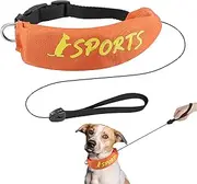 2 in 1 Dog Collar and Leashes | 2 in 1 Dog Collar and Leashes Sets - Adjustable Chew Proof Escape Proof Harness for Barking Control Hiking Running Waterproof