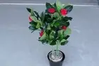 Artificial Plant Faux Rose Tree 75cm High,24 Branches, New