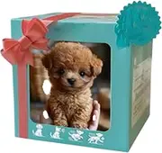 Robot Dog Pet, Robotic Dogs for Kids | My Realistic Robot Puppy, Robot Puppy That Looks Real, Cute Animal Plush Toys for Bedside, Realistic Toys for Girls Boys Toddler Toys