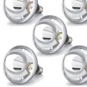 5 Silver Incandescent Heating Light Bulbs - 250W E26 for Animals & Bathrooms