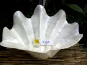Large Capiz Shell Bowl - Clam Shape x 40cm