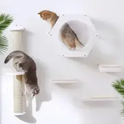 Pathosio Pet Cat Wall Jungle Set 4