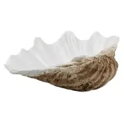 Seashell Bowl Decor Resin Large Natural Weathering Clam Shell with Pearl Whit...
