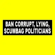 Funny "BAN CORRUPT, LYING, SCUMBAG POLITICIANS" Anti government BUMPER STICKER