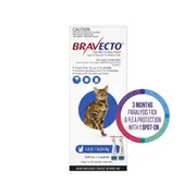 BRAVECTO Flea & Tick Spot On Treatment 2.8-6.25kg Cat... - 2pk