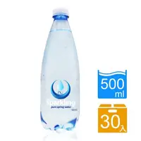 在飛比找momo購物網優惠-【美式賣場】Nu-Pure 氣泡水(500ml X 30瓶)